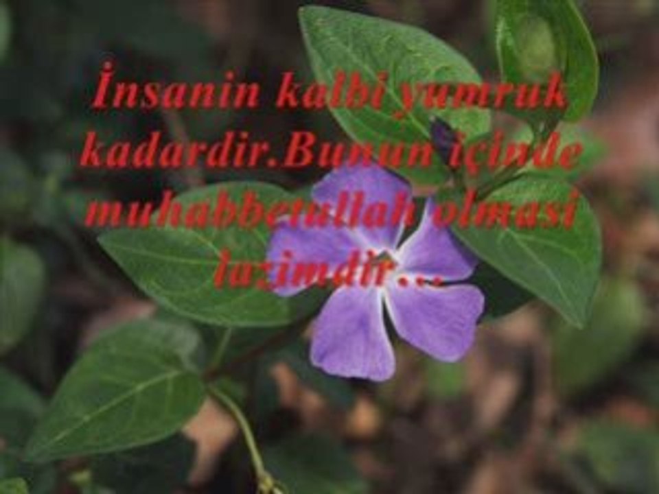 Gavsi sani (K.s.a.) Hz.lerinin sohbeti