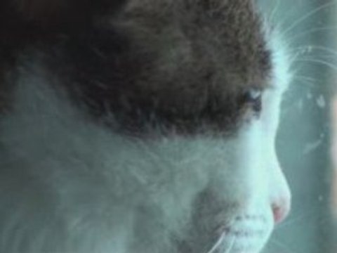 Test camescope Sony hdr-sr11 en HD