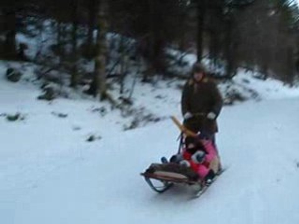 traineau sans chien