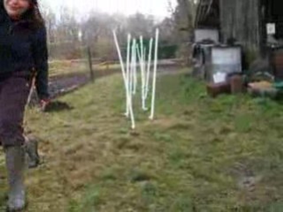 Bag slalom1