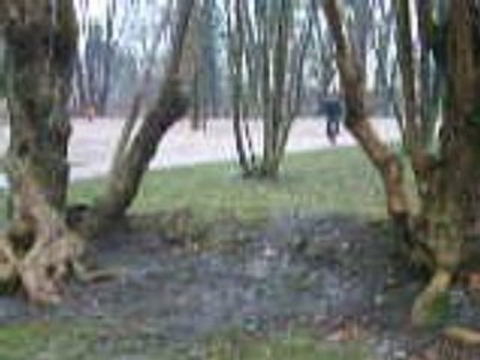 DSCF1445