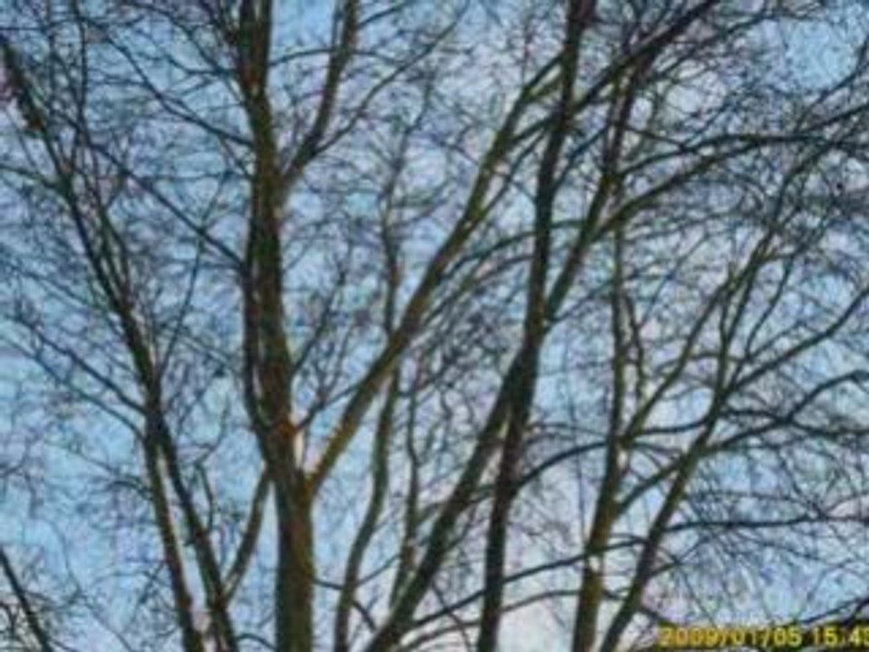 Winterimpressionen