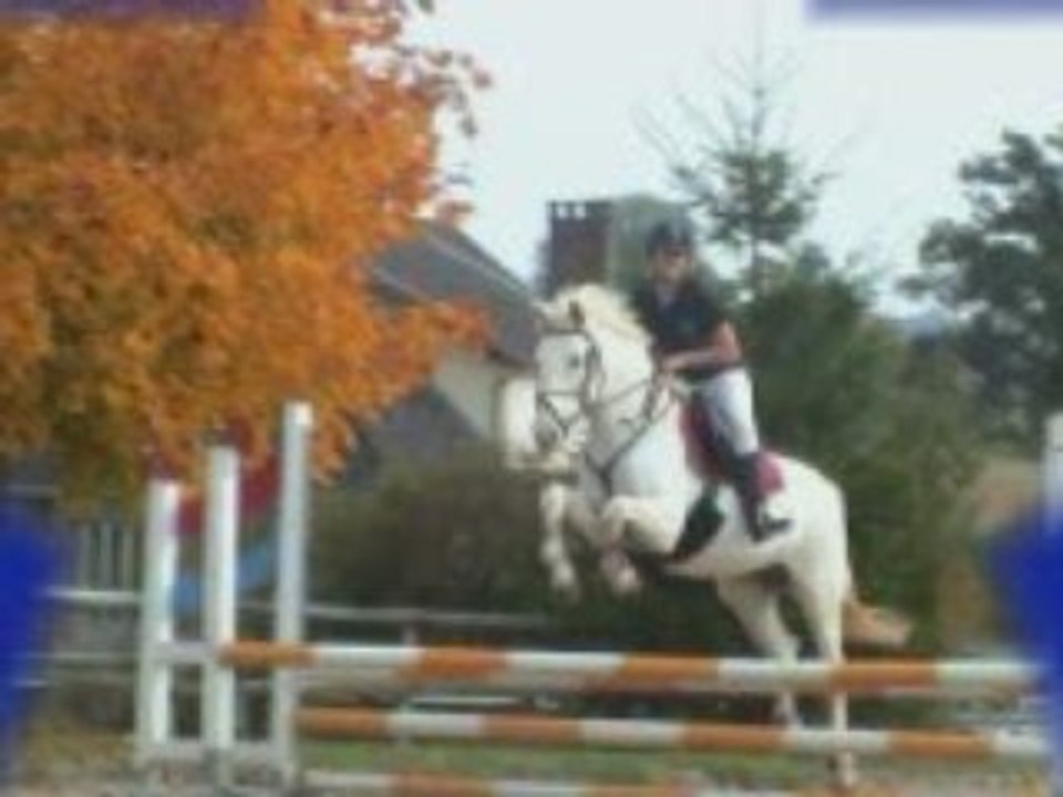 Passion cheval
