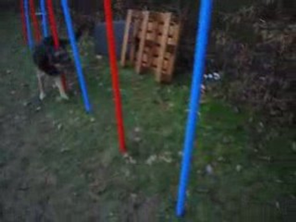 Slalom 2