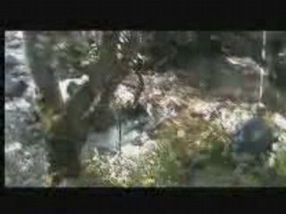 Vidéo Carança 66