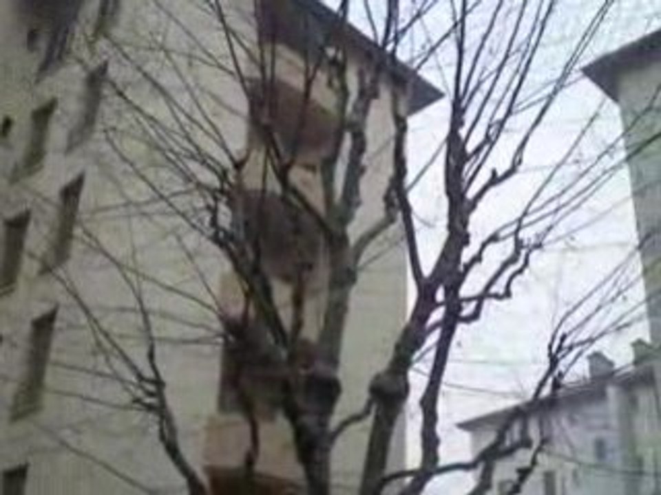 Lyon Montchat: Immeubles