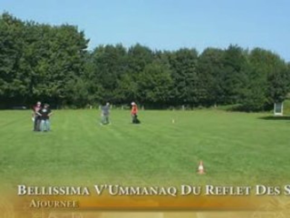 belissima