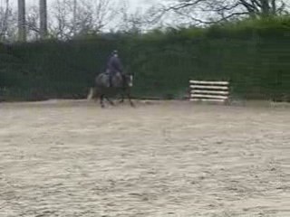 Gaëlle-Radjah n°1