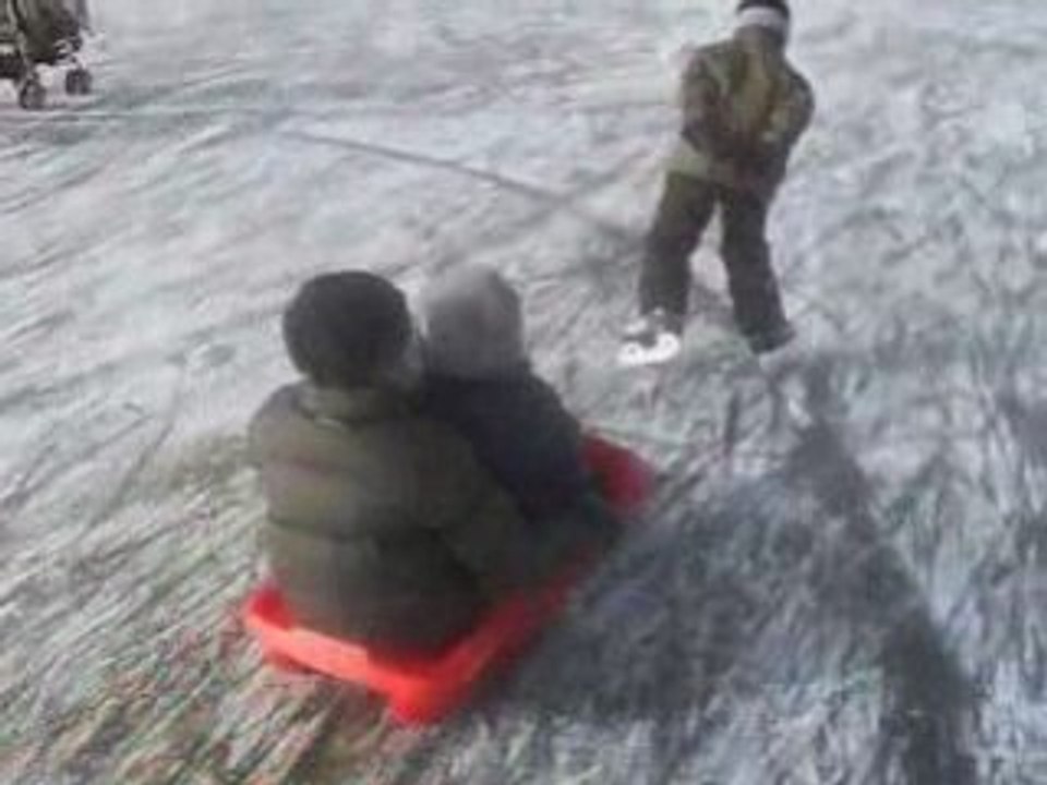 Patin2009