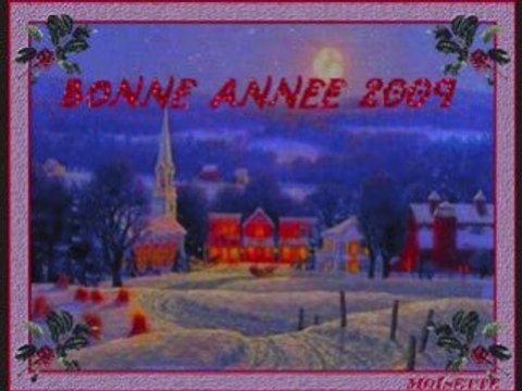 Joyeux noël 2008 et bonne année 2009