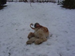 Bati pożeracz sniegu cd.