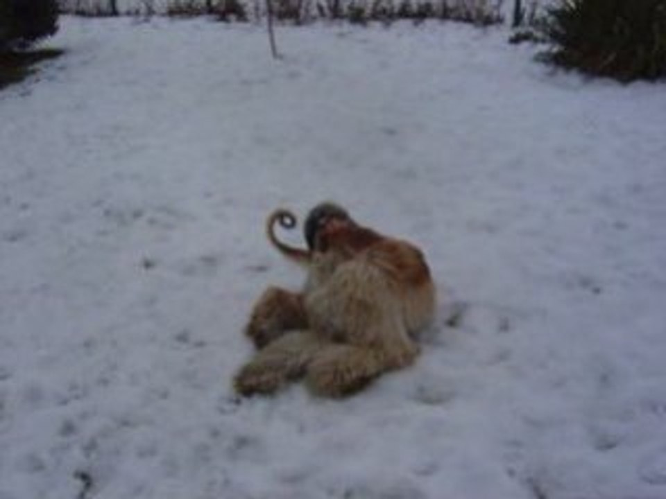 Bati pożeracz sniegu cd.