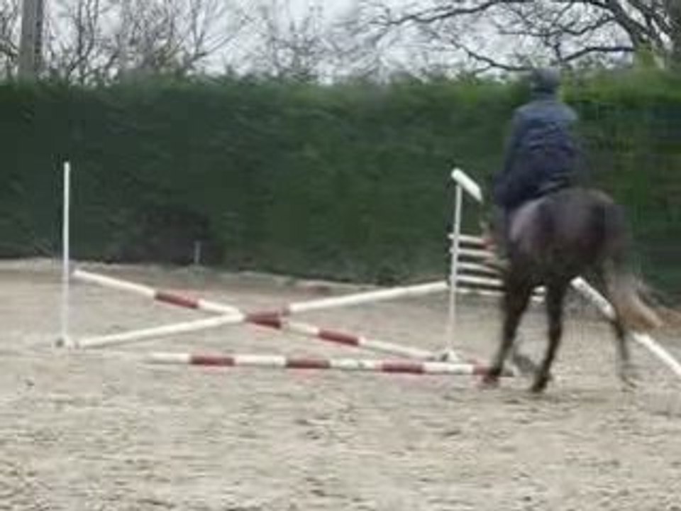 Gaëlle-Radjah n°13