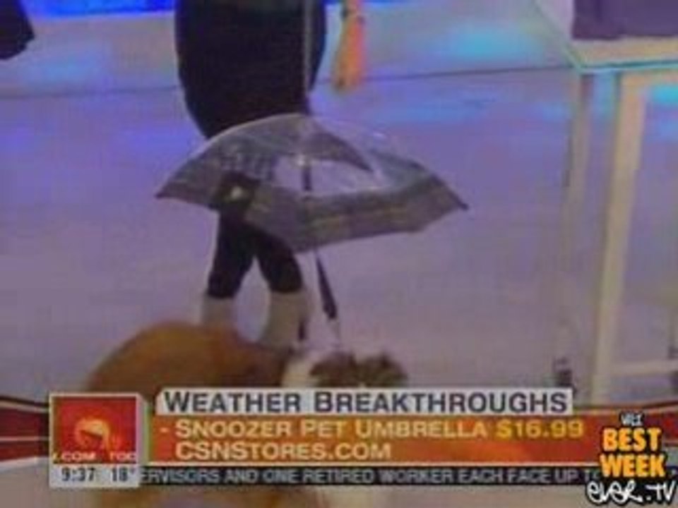 ICYMI - The Dumbest Dog Accessory Of All Time