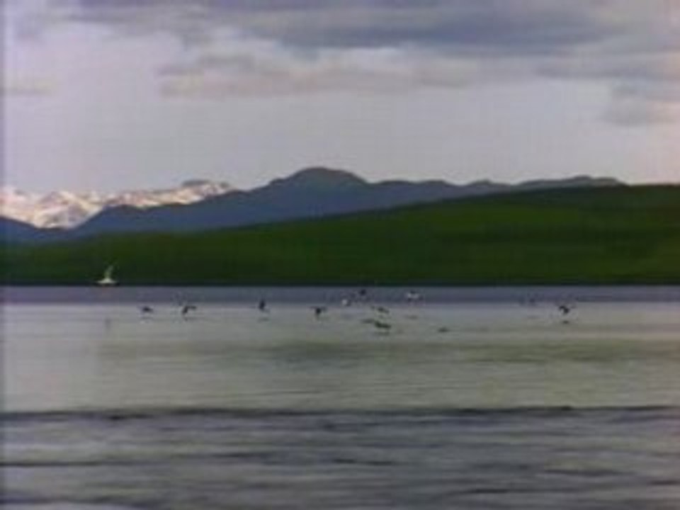 Lake