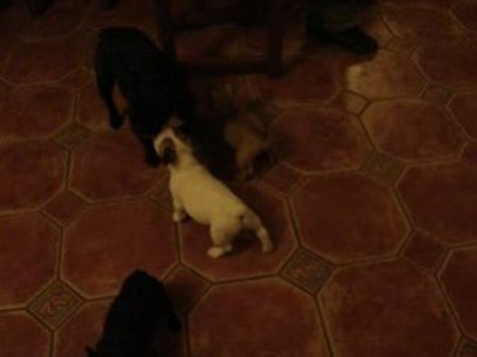 MOV04176