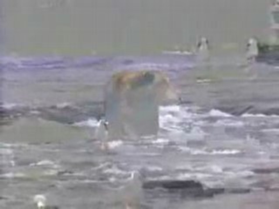 gossip girl saison 1,2 streaming  fr/vostfr