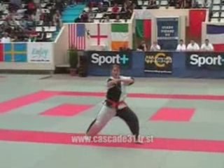 coupe du monde paris 2006