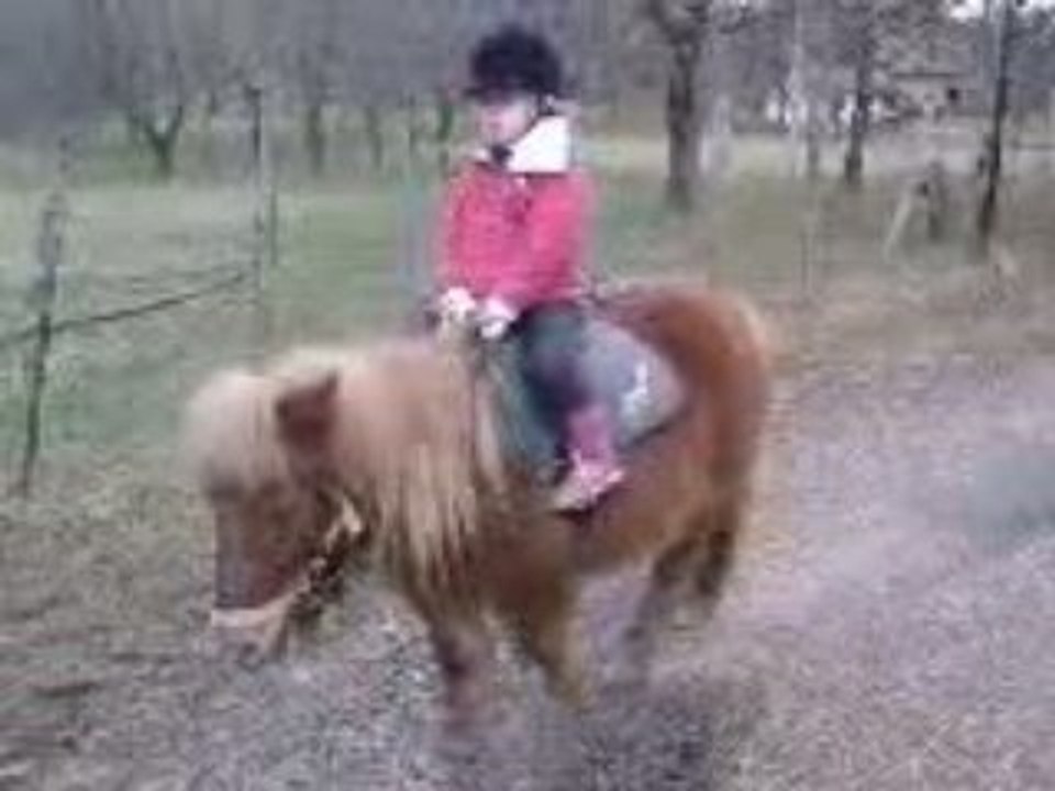 Clara poney 21.01.09 002