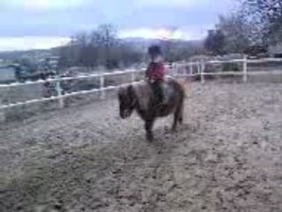 Clara poney 21.01.09 003