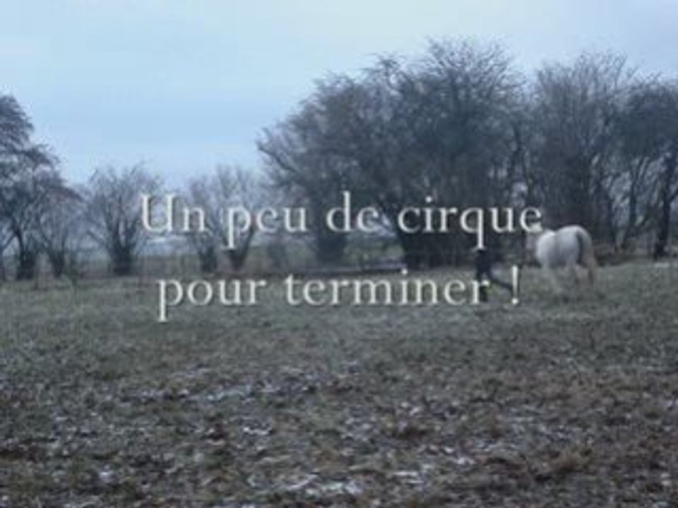 Le 21 janvier 2009