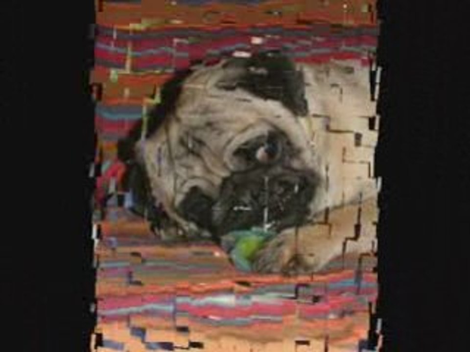 CARLINS A GOGO ( forum )