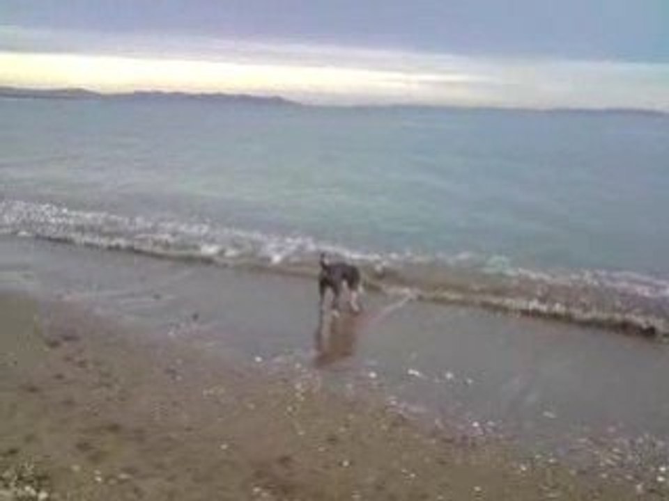 Chéops plage