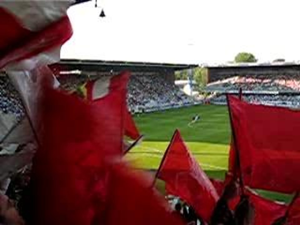 allez le losc