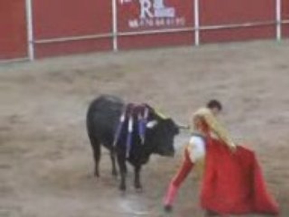 Raul Velasco toreando en Cabanillas del Campo (Faena 2)