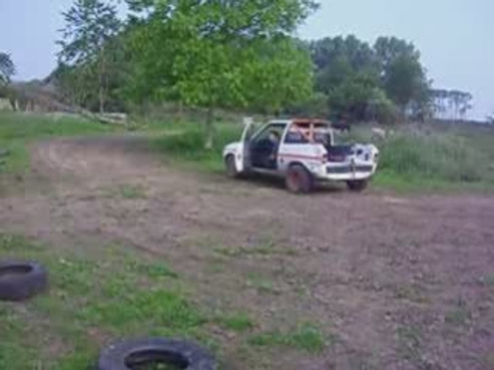 Ford Fiesta Pick-up Mimi 3