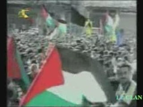 La TEAM xFk Hommage a la Palestine Rachel corrie