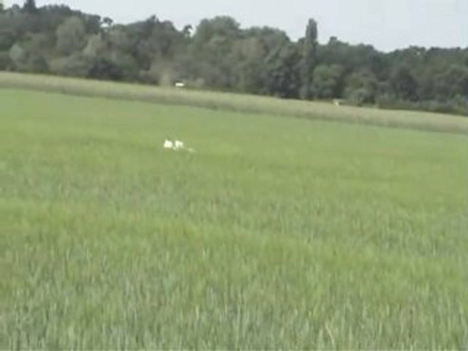 Doppelrumpf depron rc flieger