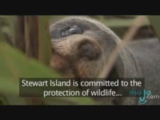 The Islands of New Zealand (with Closed Caption)