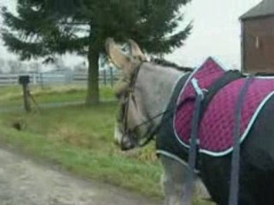 martin ballade en guides 2