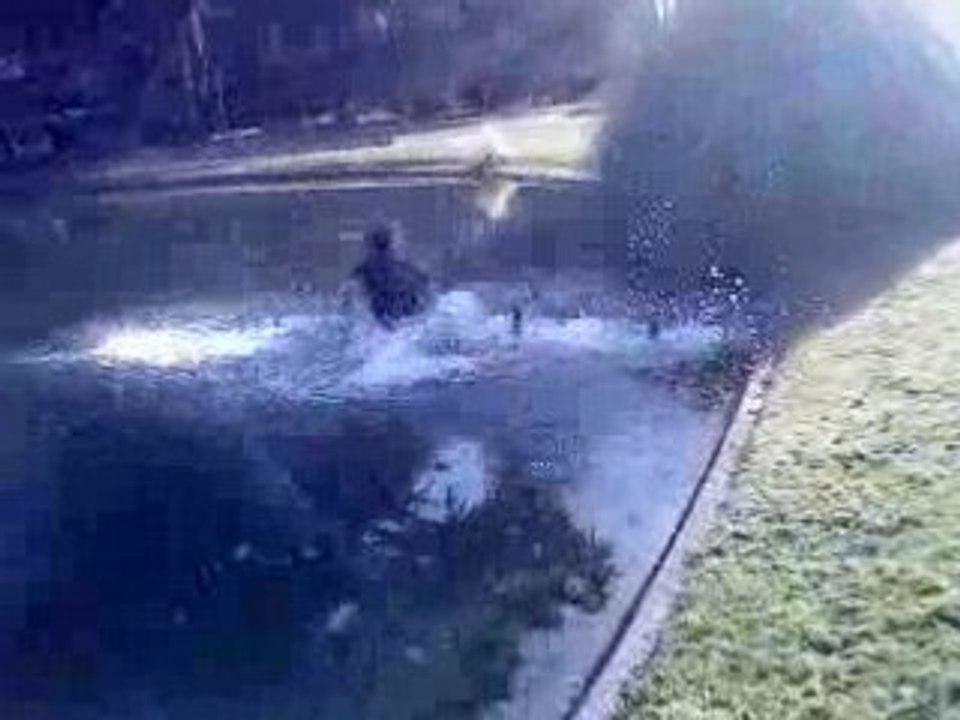 Jeudi 15 Janvier. Il fait environ 2°C chez nous.