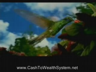 Work For Yourself And Be Happy