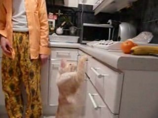 Dakota ferez n'importe quoi pour de la nourriture