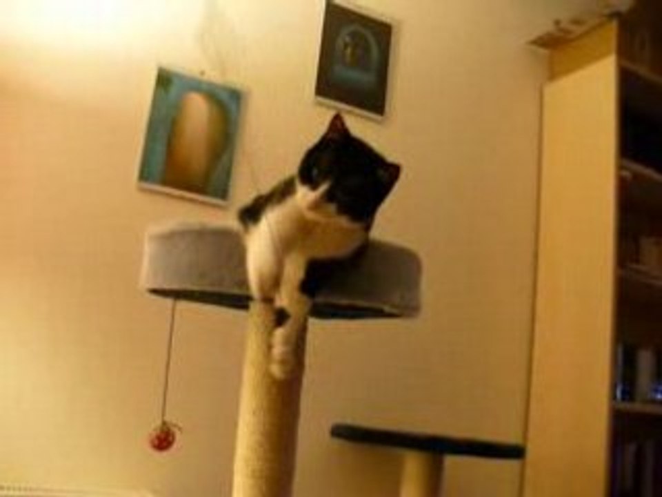 gavroche2