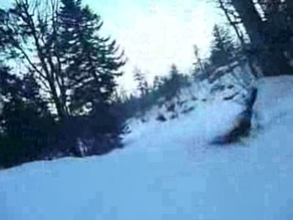 Ski Lunicocie