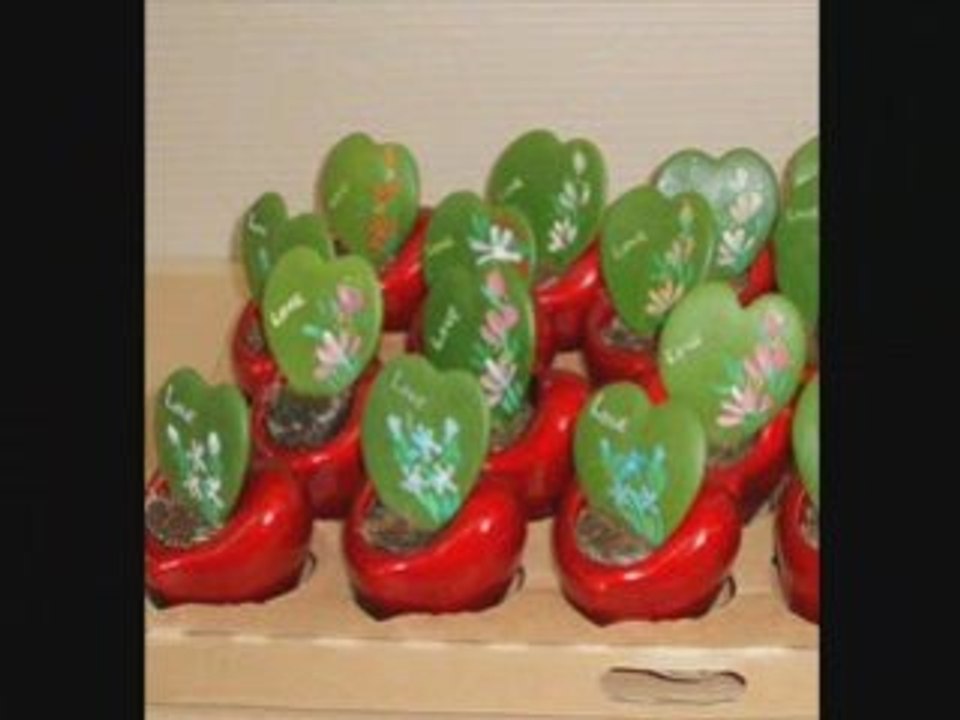 Hoya sorts and forms