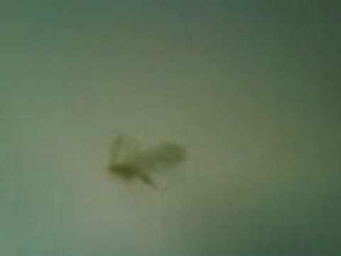 Les Aventures de Gab'Z - Épisode 3 - Opération ménage