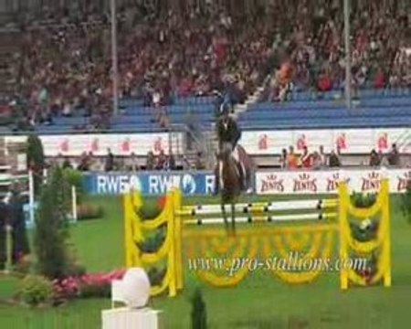 Ces chevaux qui nous font rêver