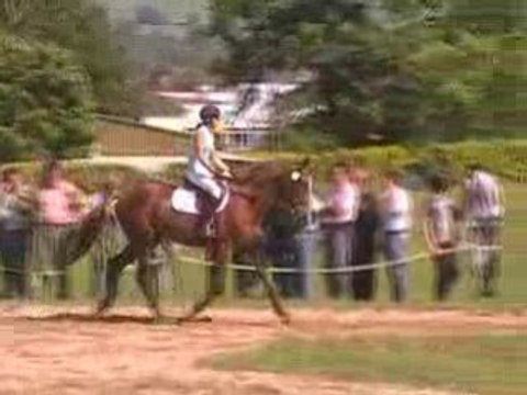 Rève de Laredie par Elan de la Cour