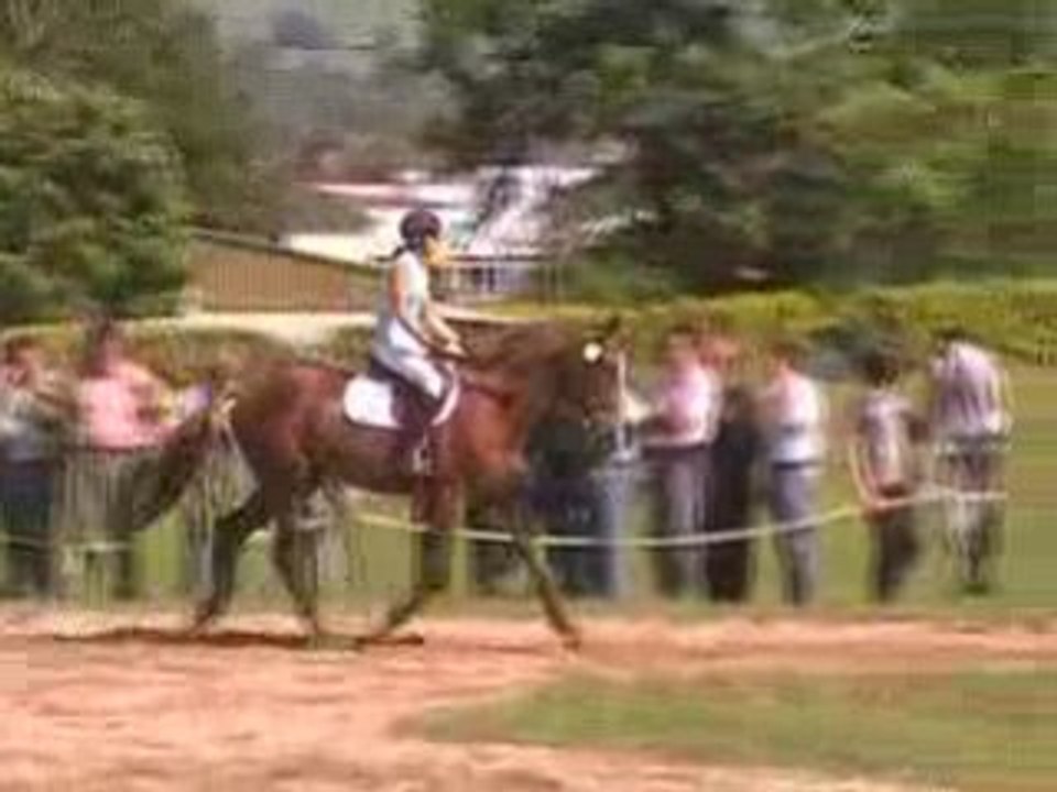 Rève de Laredie par Elan de la Cour