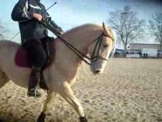 Cheval Passion 2009 (2)