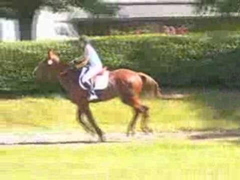 Rève de Laredie par Elan de la Cour