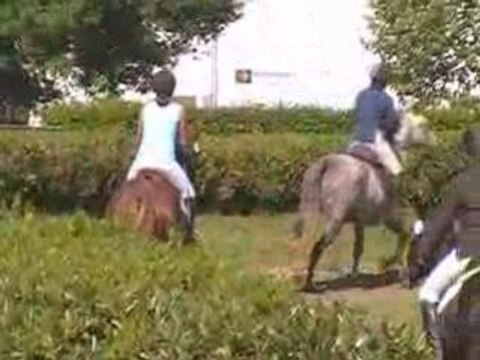 Rève de Laredie par Elan de la Cour