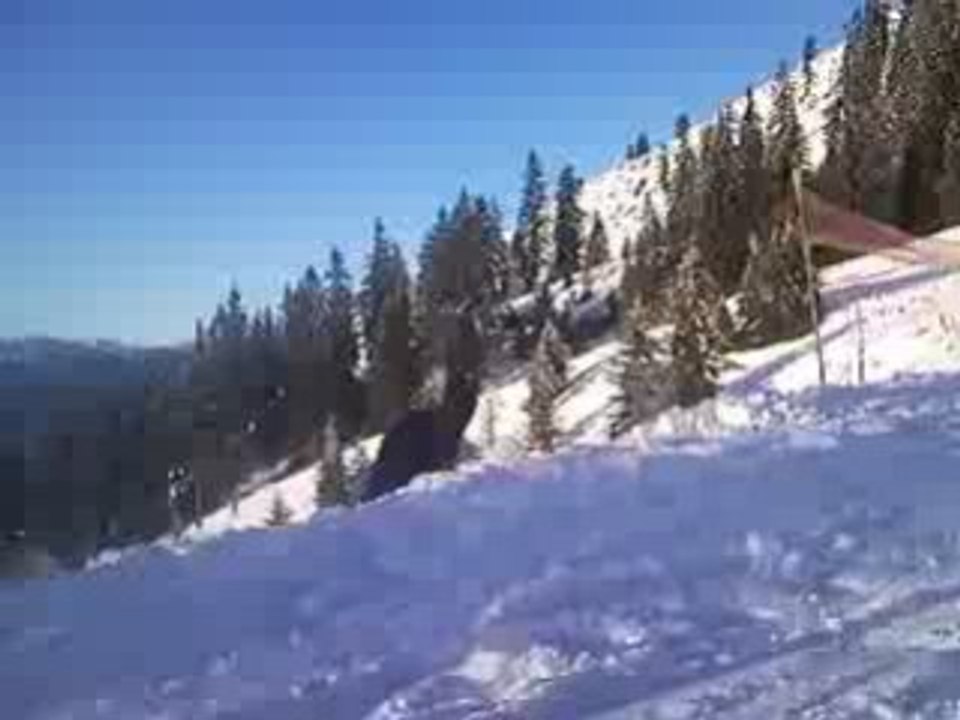Bonne Année 2009
