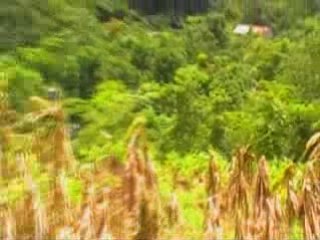 AHUACHAPAN Y DANIEL CALVETI Y REY PIRIN