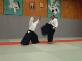 Aïkido demo